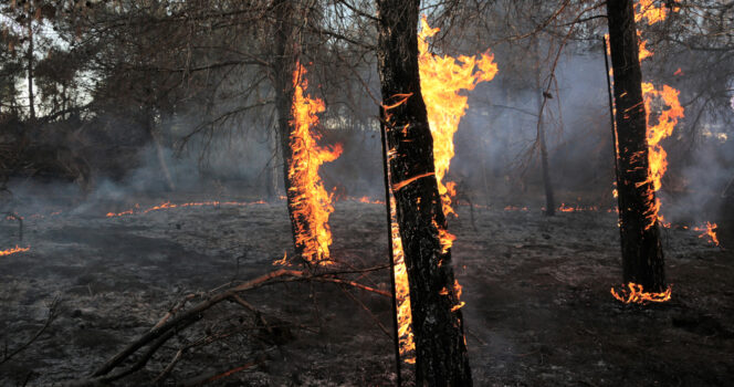 Firefighters ambushed by a wildfire set on purpose—and then shot by a sniper